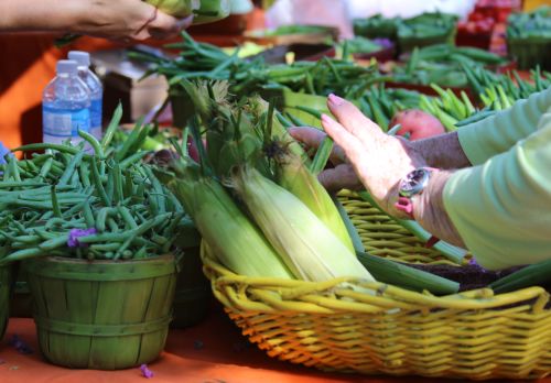Farmers Market at Chestnut Square
